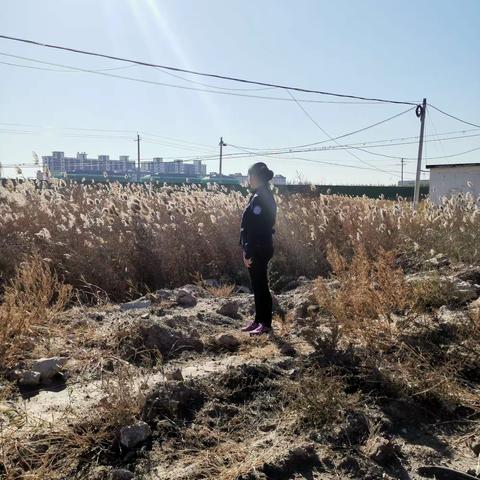 网格内荒草地巡查