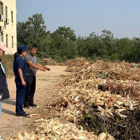 太平镇消防所多措并举开展“秋收”期间杂草、垃圾、秸秆火消防安全管理工作