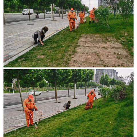 市城管执法局西环综合管理中心  清理整治绿化带，城市颜值在提升