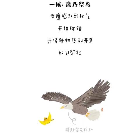 【二十四节气】最美人间处暑秋——九曲街道第三中心幼儿园南京路分园处暑主题活动