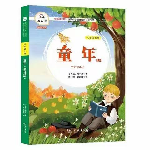 笑与泪，经历与成长 ——聊城市实验小学六年级 9月份阅读推荐《童年》