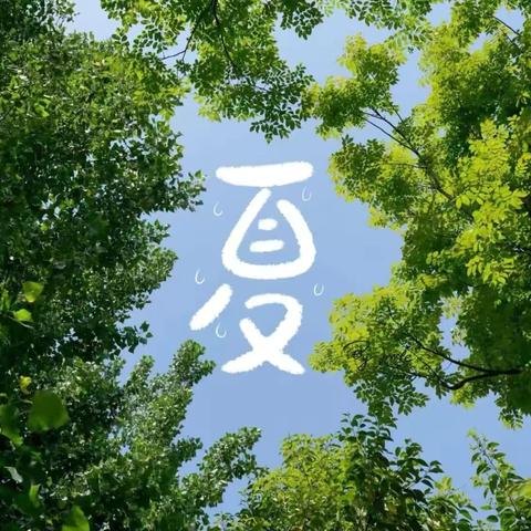 🍃七月盛夏 万物热烈