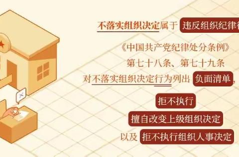 对不落实组织决定行为的处分规定