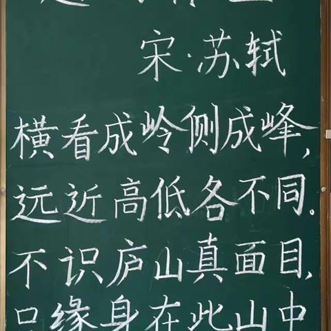 不负韶华，一路生花——桑梓镇小语中心组十一月份个人总结