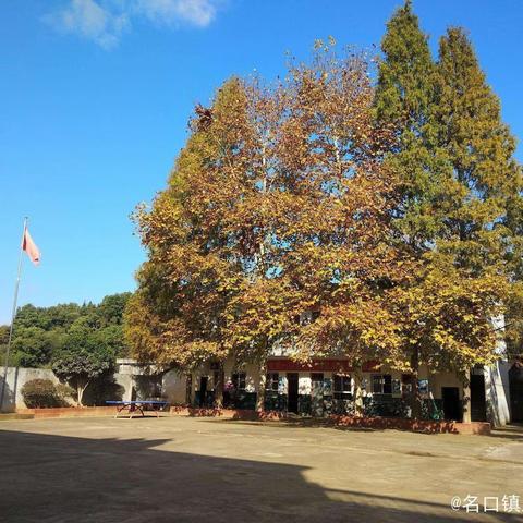 兰坑小学2024年春季开学通知