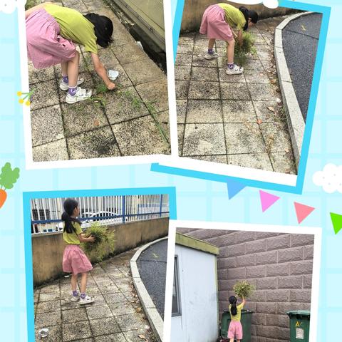 陈宝琳的快乐假期