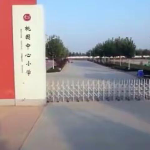 【全环境立德树人】学科抽测展风采  素质教育润童心——桃园中心小学学科素养抽测活动