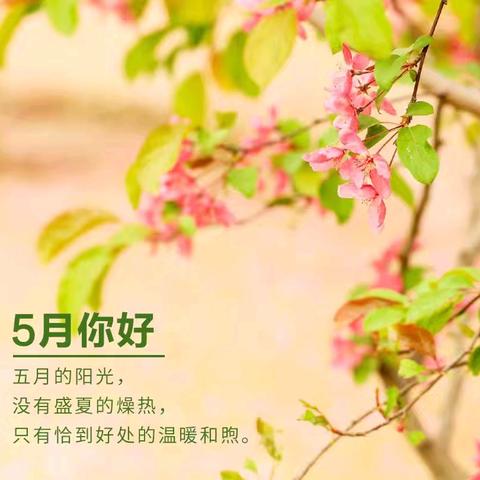 初见童心，遇见美好”——爱顿幼儿园小三班5月份美篇