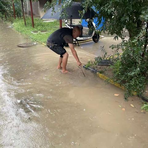 风雨无情人有情