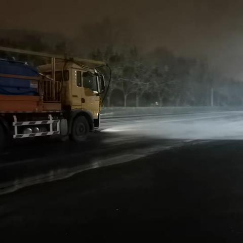 环雅丽都二分公司多项措施连夜清除积雪，确保道路畅通。