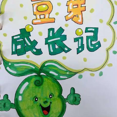 仁幼大二班☞☞     小角落大自然之豆芽成长记