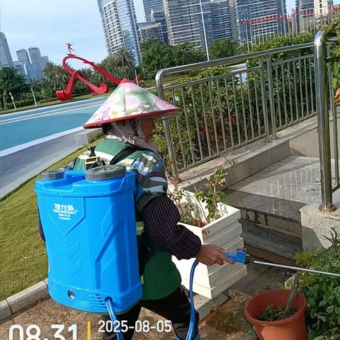 重庆两江新城城市管理运营公司关于对会展中心及西海岸带状公园开展内灭蚊虫消杀的工作
