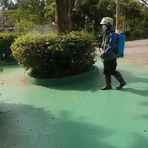 重庆两江新城城市管理运营公司关于对会展中心及西海岸带状公园开展内灭蚊虫消杀的工作
