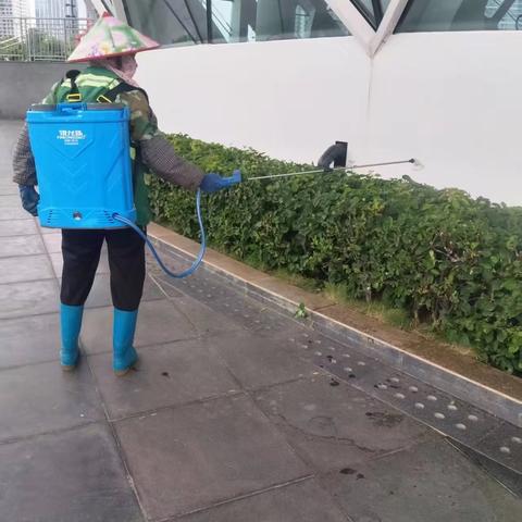 重庆两江新城城市管理运营公司关于对会展中心及西海岸带状公园开展内灭蚊虫消杀的工作