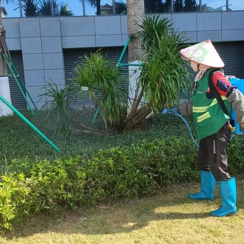 重庆两江新城城市运营管理公司关于对会展中心及西海岸带状公园开展内灭蚊虫消杀的工作