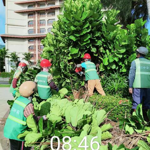 重庆两江新城城市运营管理有限公司防台工作