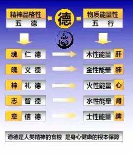 五德能量——五行