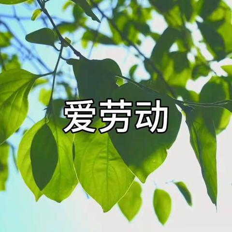 我劳动，我快乐——永盛幼儿园大十三班