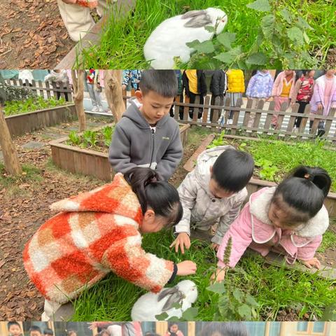 德鸿星湖幼儿园 🌻中一班 十二月回忆录