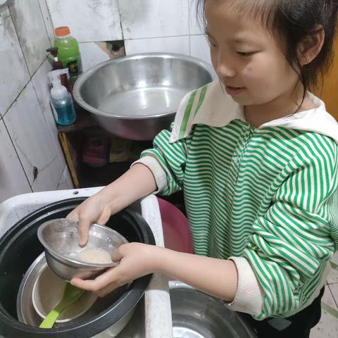 🌳我劳动我光荣·快乐伴我成长🌳