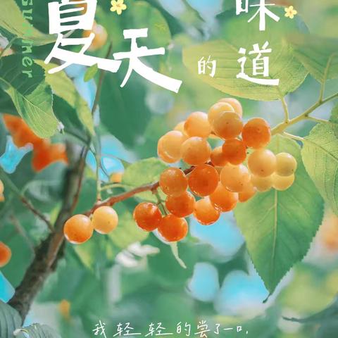 香树花城物业七月份工作简报