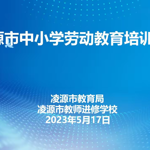 凌源市中小学劳动教育培训会