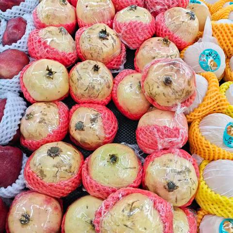 9月29日丽都国际店巡店小结