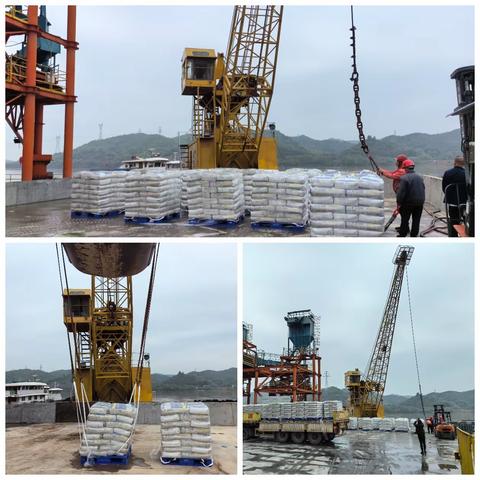 [株洲工业园〕实干笃行，托盘/环保砖上船谱新篇！