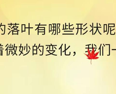 大三班游戏故事：“亲近大自然——拾秋、画秋” （王老师）