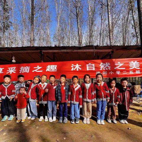 享采摘之趣 • 沐自然之美—滨河小学二五班学生参加凯特农场秋实学习活动