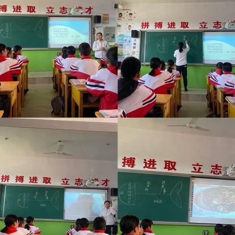 “习”之有法 “作”之有道——涞水镇学区东文山小学语文习作公开课活动