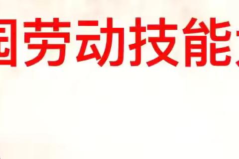 “我劳动 我快乐” 	——南孙庄镇张六庄小学劳动技能大赛活动简报