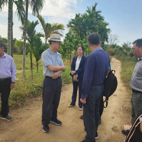 张启发院士携团队成员莅临高土村调研