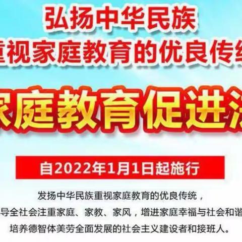 家庭教育——在不断探索中成长