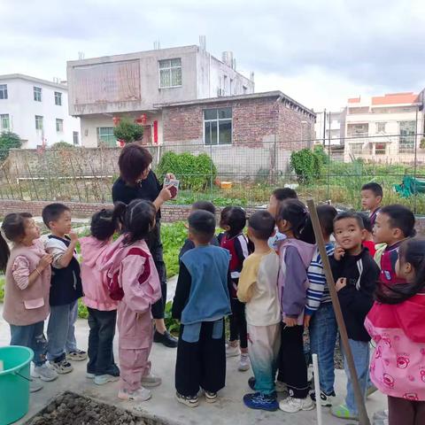 南阳向阳幼儿园🌼🌼（原街道幼儿园）十月份精彩回顾一一