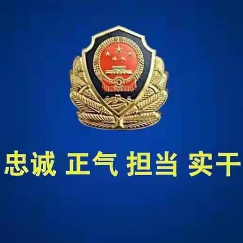 苑东派出所邀请桥西交警大队入所指导培训