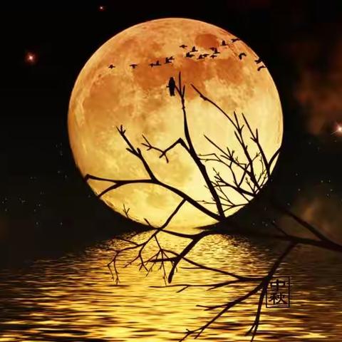 咬文嚼字说诗词（596班）