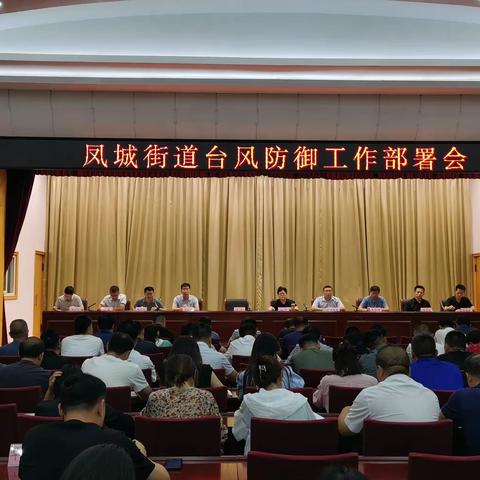 凤城街道召开防汛防台风工作部署会