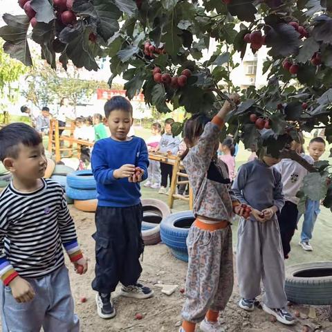 我和山楂有个约会—文鼎苑幼儿园大一班山楂主题活动