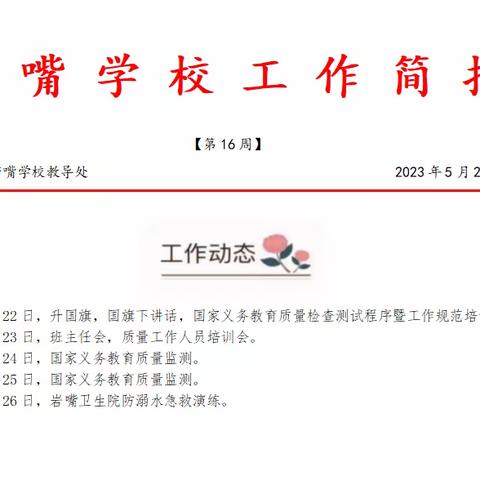 汉寿县太子庙镇岩嘴学校第十六周工作简报