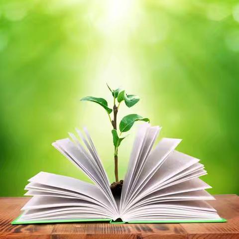 新教育•构建理想课堂之关注新教师课堂——那大镇第十小学开展新进教师公开课活动