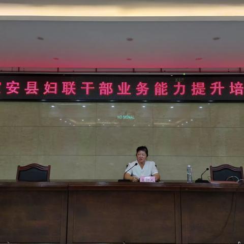 定安县妇联举办妇联干部能力提升暨“护苗”骨干业务培训班