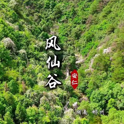 健康俱乐部一邹正衡182的简篇