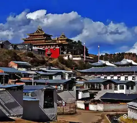 健康俱乐部一邹正衡182的简篇