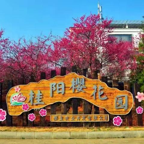 健康俱乐部一邹正衡182的简篇