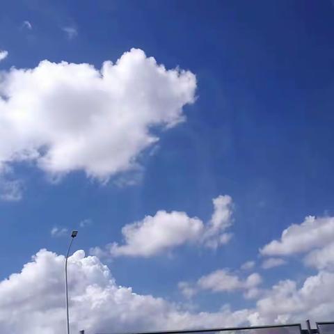 广州长隆野生动物世界一日游（五年级下学期研学）