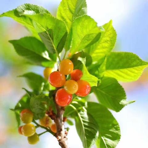 文澜苑物业服务6月工作简报