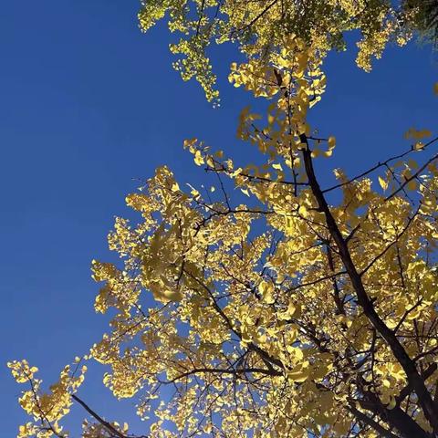 文澜苑物业十月份工作简报