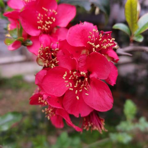 文澜苑物业3月工作简报