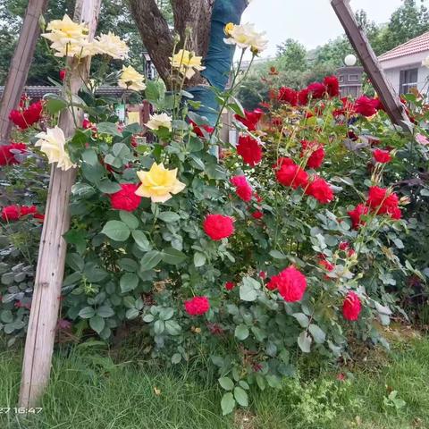 文澜苑2024年4月份物业服务简报